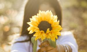 woman holding a sunflower to the camera