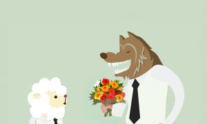 wolf presenting flowers to a sheep at work