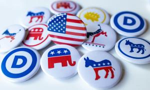 Representations of the Republican elephant and the Democrat donkey symbols