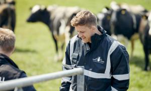 Simon Mellin, The Modern Milkman, surrounded by cows at a farm