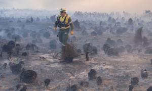 Dean Ferreira walks through the aftermath of a wildfire in South Africa