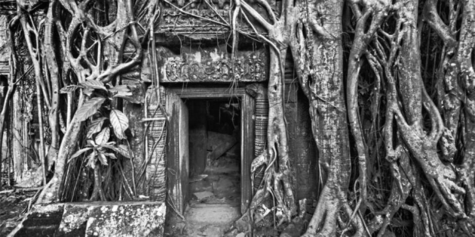 Eingang zur Tempelruine Ta Prohm in Angkor, Kambodscha.