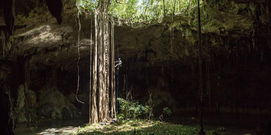 Ollie Laker hangs on a rope halfway down the massive roots of a tree which sink deep into a cave