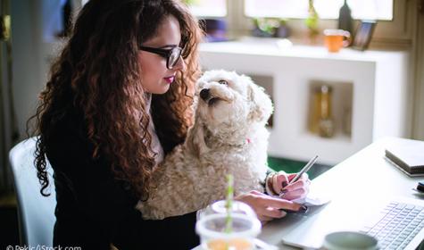 Arbeitnehmerin mit Hund