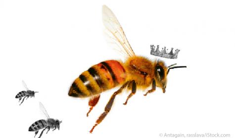 Bienenkönigin
