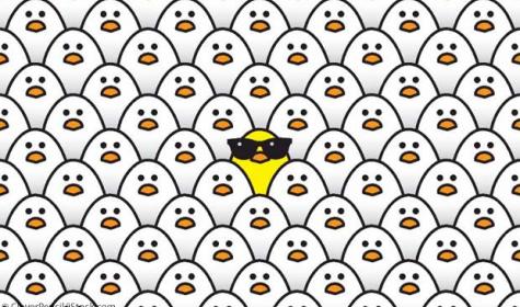 Illustraion: gelbes Hühnchen mit Sonnenbrille in einer Masse weißer Hühnchen