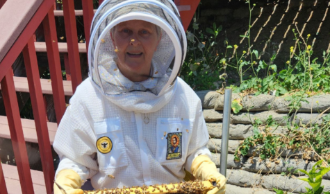 Beekeeper Charlene Potter and her hive
